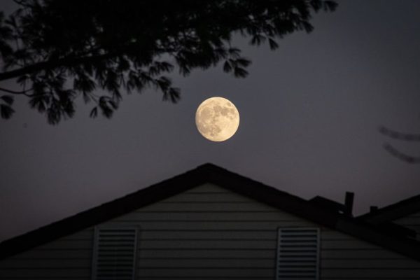How Moonlight Walks Regulate Circadian Rhythms