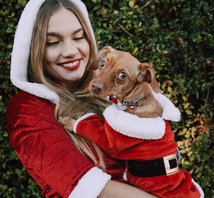 How Pet Instagram Accounts Are Changing Animal Welfare