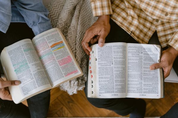 The Most Engaging Courses for Book Lovers