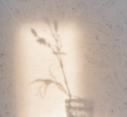 How Minimalist Design Lowers Anxiety