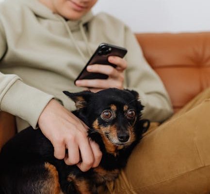 How Smartphones Are Affecting Attention Spans