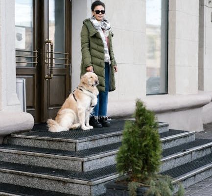 How Service Dogs Are Trained for Psychiatric Care