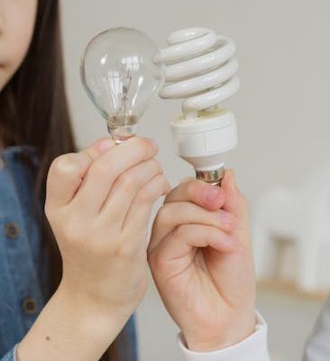 Visa Requirements for Renewable Energy Projects