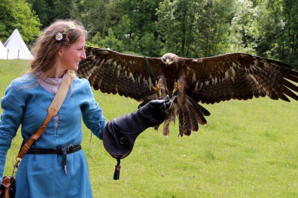 The Best Countries for Falconry Trainer Visas
