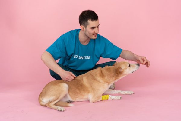 How Therapy Animals Are Helping Schools