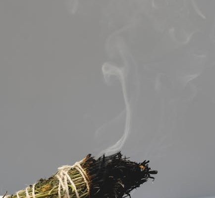 How Herbal Smokes Cleanse the Air