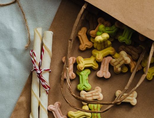 The Controversy Over Rawhide Chews for Dogs
