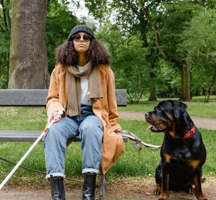 How Service Dogs Assist With Mobility Issues