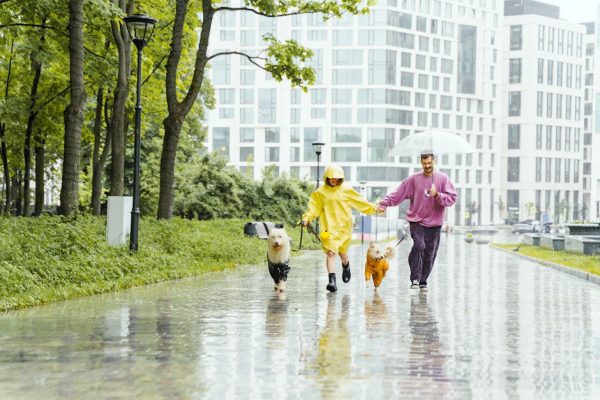 The Best Pets for Rainy Day Lovers