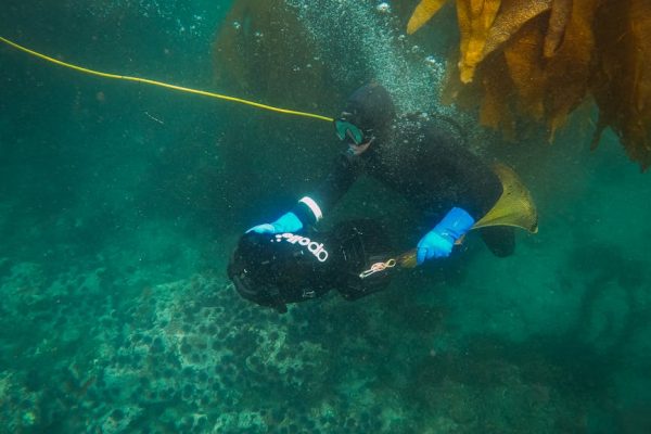 Visa Requirements for Cave Diving Research