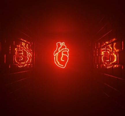 The Science Behind Why Pets Improve Heart Health
