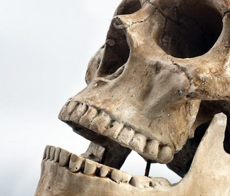 Why Forensic Science Courses Are Surprisingly Popular
